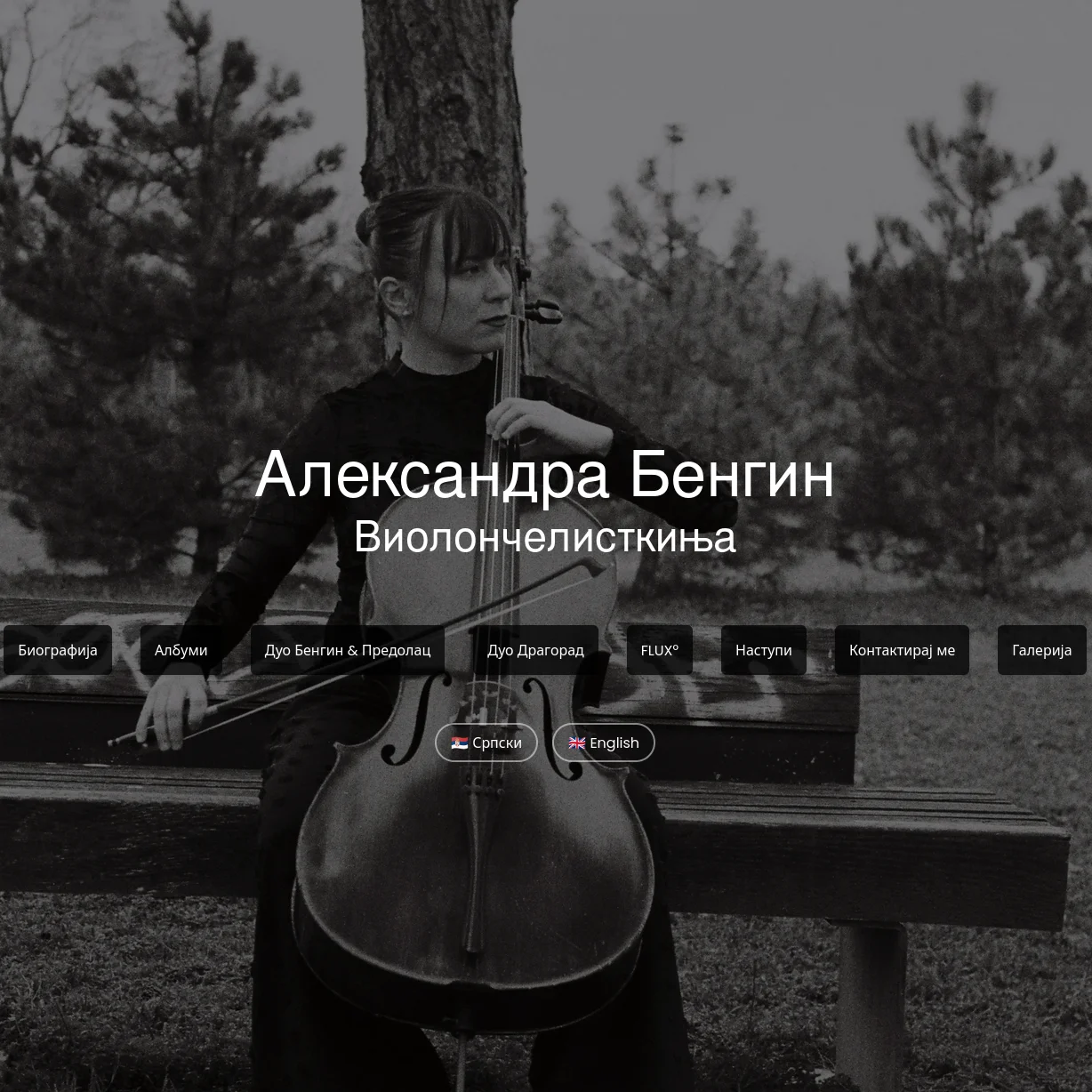 Screenshot of the project named Aleksandra Bengin